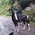 Susan Vancise Knapp's profile image