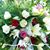 Rose Simanek's profile image