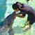 Lien Bui's profile image