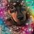 Lori Johansmeyer's profile image
