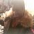 Tiffanie Michelle's profile image