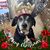 Dawn Lotter's profile image