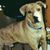 Ernie P Tucker's profile image