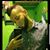 Pinky Promise's profile image