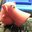 Normen Strobel's profile image