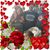 Linda Parker's profile image