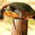 Ann B Smith's profile image