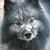 Deb Plasek's profile image