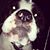 Stacy Ratner's profile image