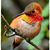 Mary Severinghaus's profile image