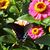 Mary D. Porch Bessey's profile image
