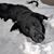 Theresa Naugle's profile image