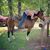 Shawna Heckman's profile image