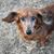Carrie Riebow's profile image