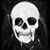 Donny Elstad's profile image