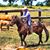 Michael Craine's profile image