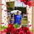 Leticia Montero's profile image