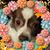 Nancy Ripley Meahl's profile image