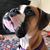 Jennifer Hossler's profile image