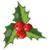 Holly Williams Rucker's profile image