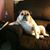 Kelly Keck's profile image