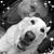 Cindy Hiller's profile image