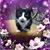 Sandy VanDalsem-Hullette's profile image