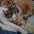 Carrie McCullough Jenkins's profile image