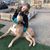 Tara McCormally's profile image
