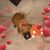 Melanie Hellenthal's profile image