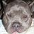 David Bush's profile image