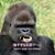 Skip Zilla's profile image