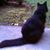 Angus Sainte's profile image