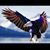 Jessie Lewis's profile image