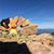 Barbara Clough Tuscany's profile image