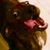Rachele Marie Vigh's profile image
