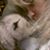 Dawn Marie's profile image