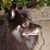 Dan Boyer's profile image