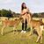 Maggie Chen's profile image