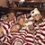 Jeanie Hess's profile image