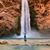 Julie Torba Jacobs's profile image