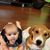 Tammy Jacobson Haase's profile image