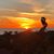 Barb Germann's profile image