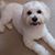 Wim Wim's profile image