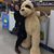 June Jones's profile image