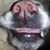John Troilo's profile image