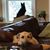 Peggy Greenwald Forsyth's profile image