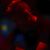 Jaime Ramirez Jr.'s profile image