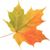 Kathy Camp's profile image