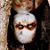 D Christopher Miller's profile image